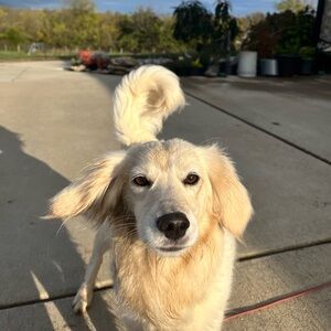 Meet your Posher, Bethany